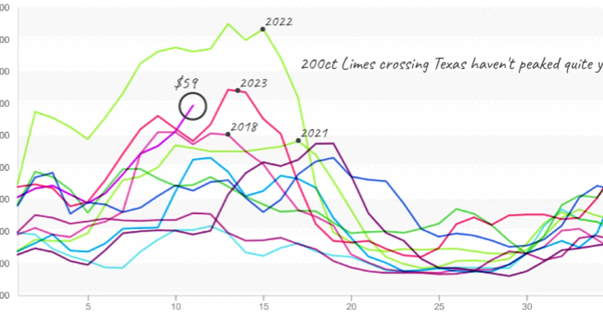 Удар погоды: как перепады влияют на рынки овощей