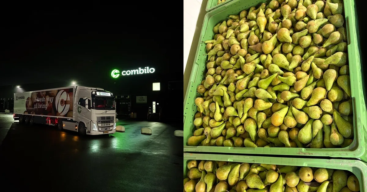 Качество диктует цены на рынке фруктов