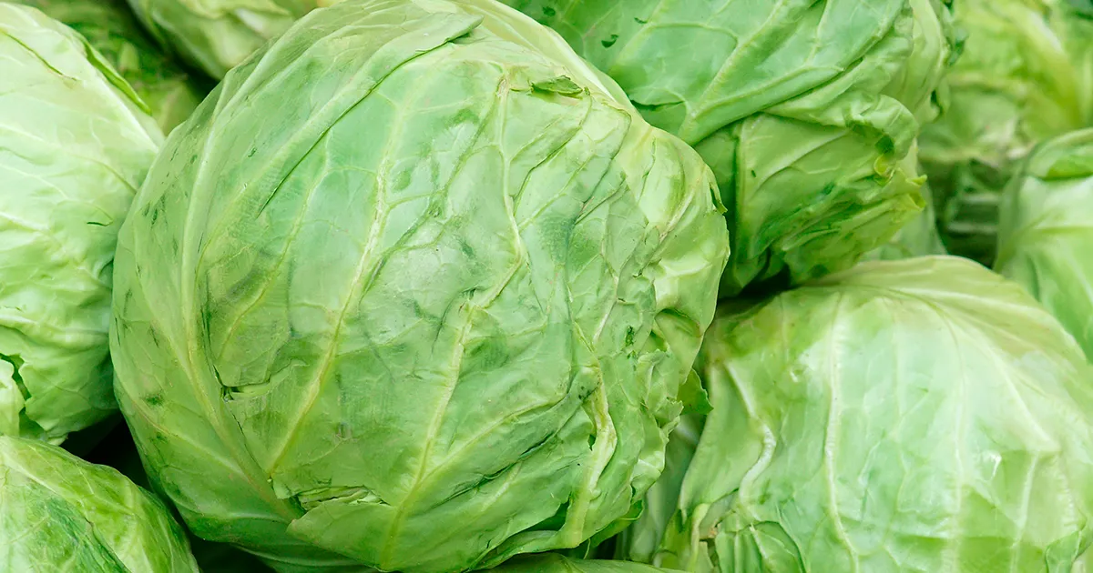 В России обнаружены карантинные вредители в овощах