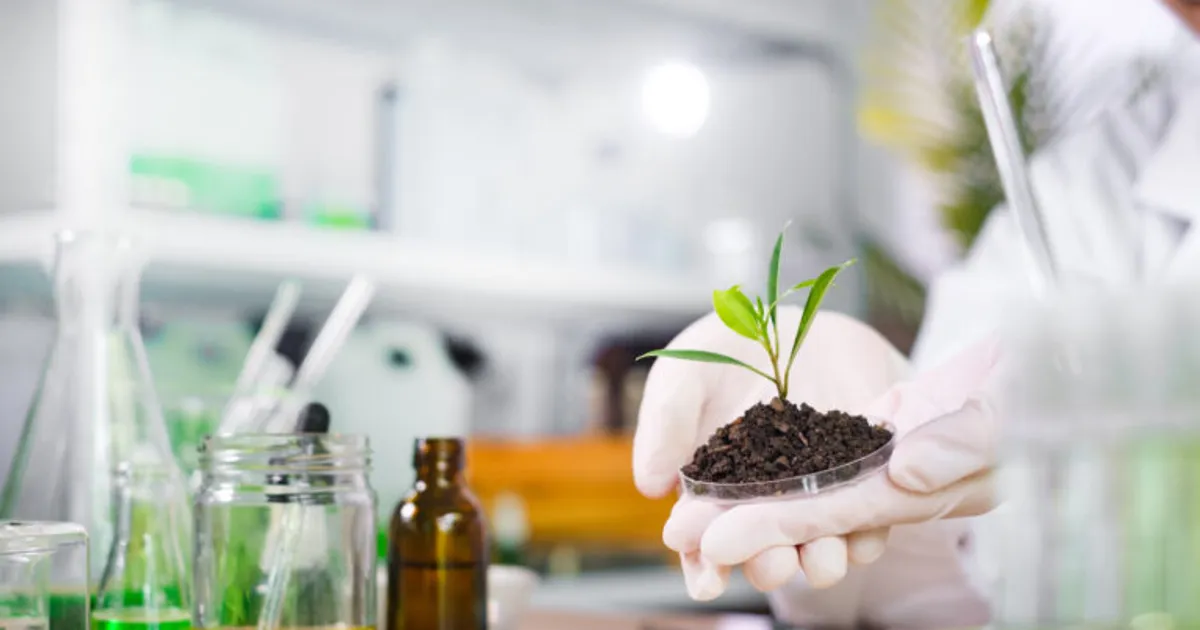 Раннее предупреждение в иммунной защите растений