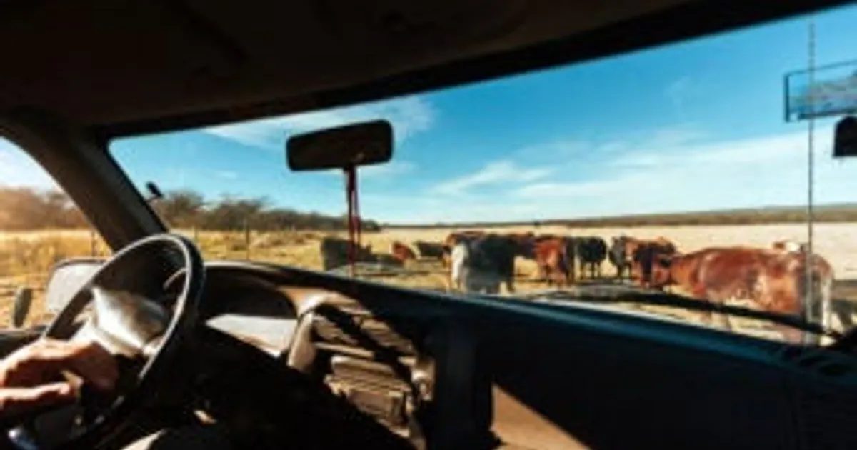 Рост цен на топливо увеличивает затраты на содержание скота