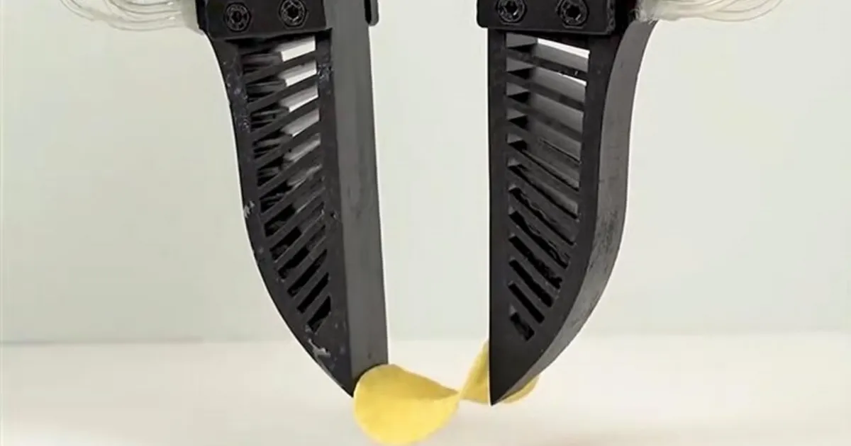 Робототехника для фермеров: новый способ упаковки и обработки ягод