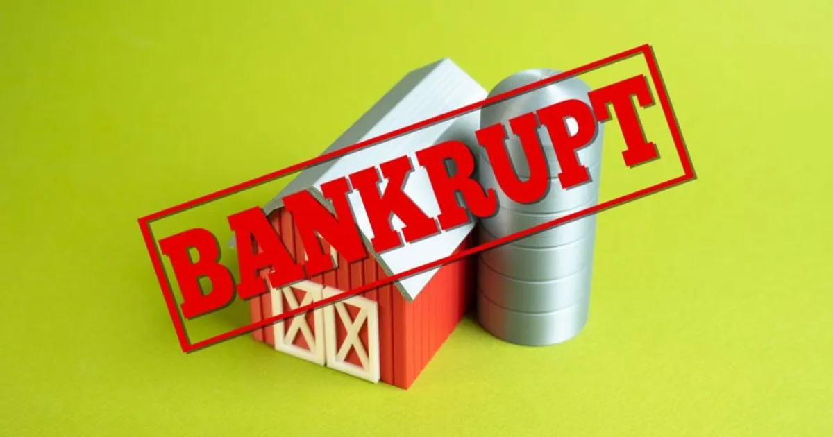 Рост банкротств ферм: сигнал проблем в агроэкономике