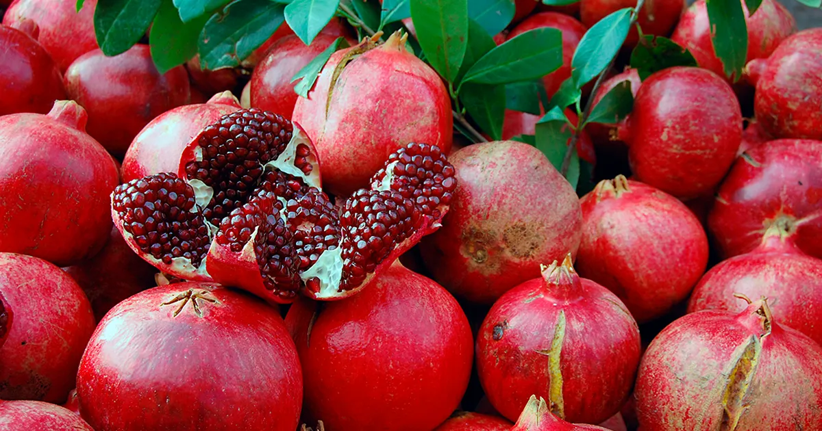 Молдова уничтожила 18,9 тонн гранатов из-за пестицидов