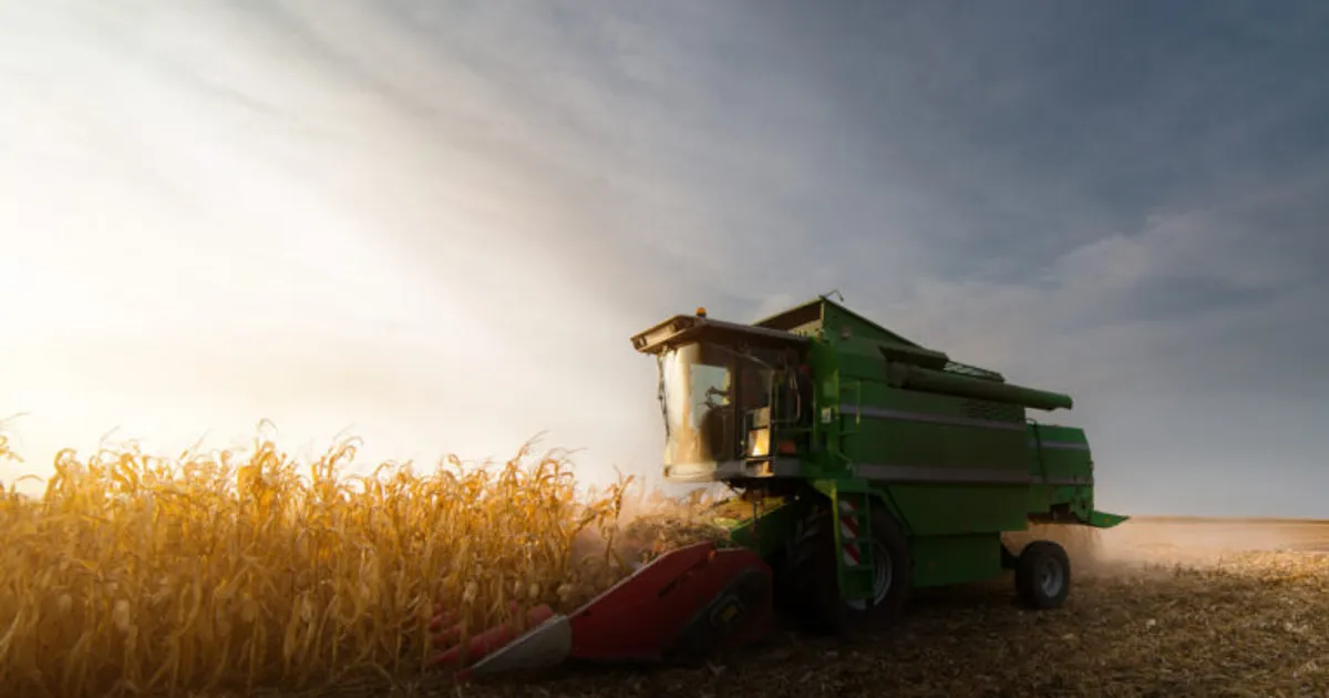 SGS Canada теперь проводит тестирование генетических признаков кукурузы для Байера