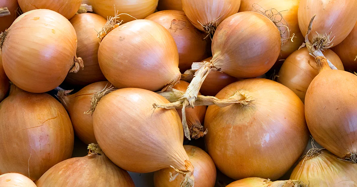 Грузия резко увеличила экспорт лука в начале 2026 года