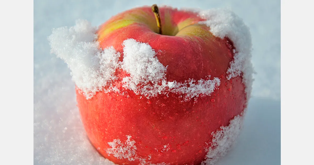 Сильные снегопады в Японии повредили садоводство и теплицы