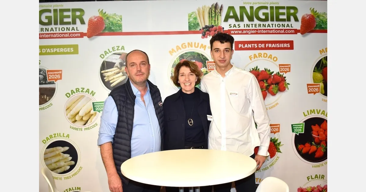 Сорта клубники: как Angier International закрывает запросы фермеров