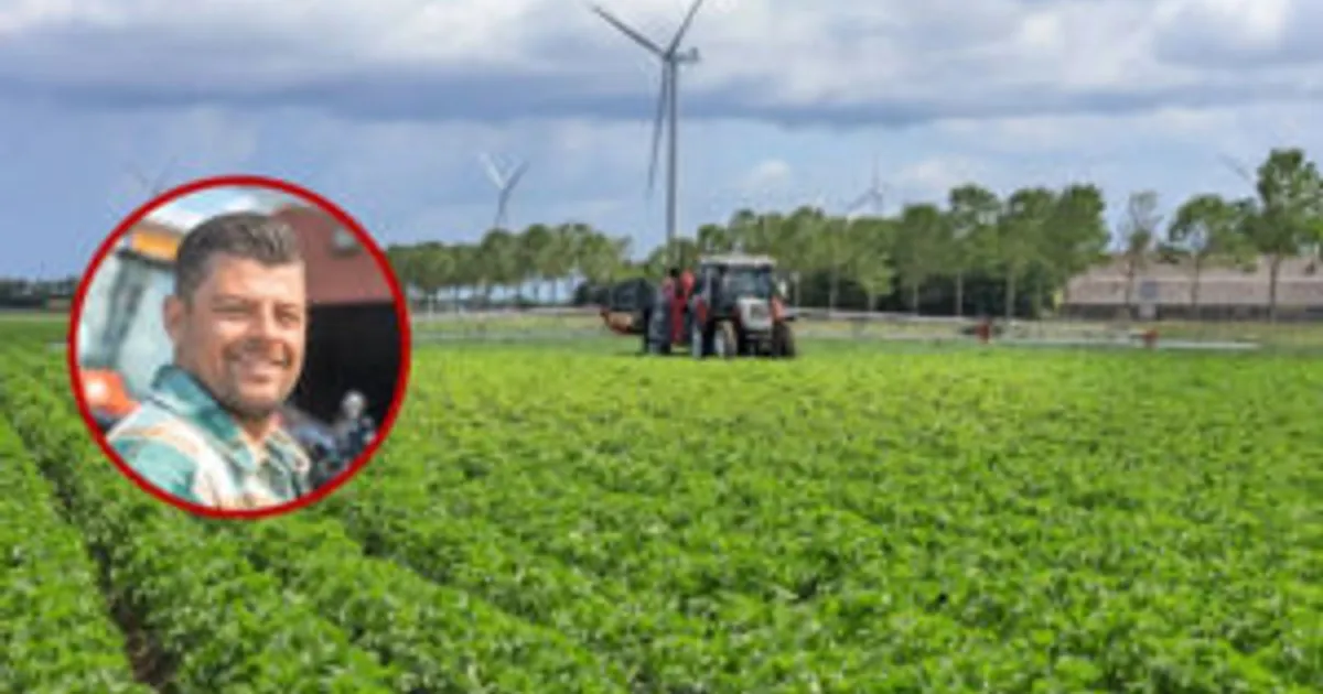 Точечное опрыскивание по картам задач: сложности