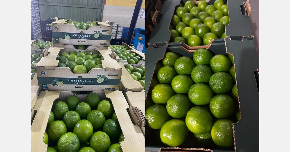 Спрос на лайм в Европе удержал цены на фоне сбоев поставок из Бразилии