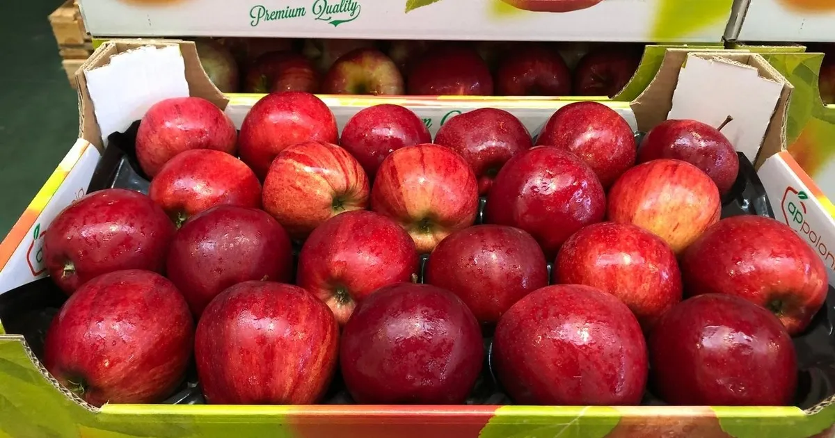 Польские яблоки: высокие запасы и замедленные продажи