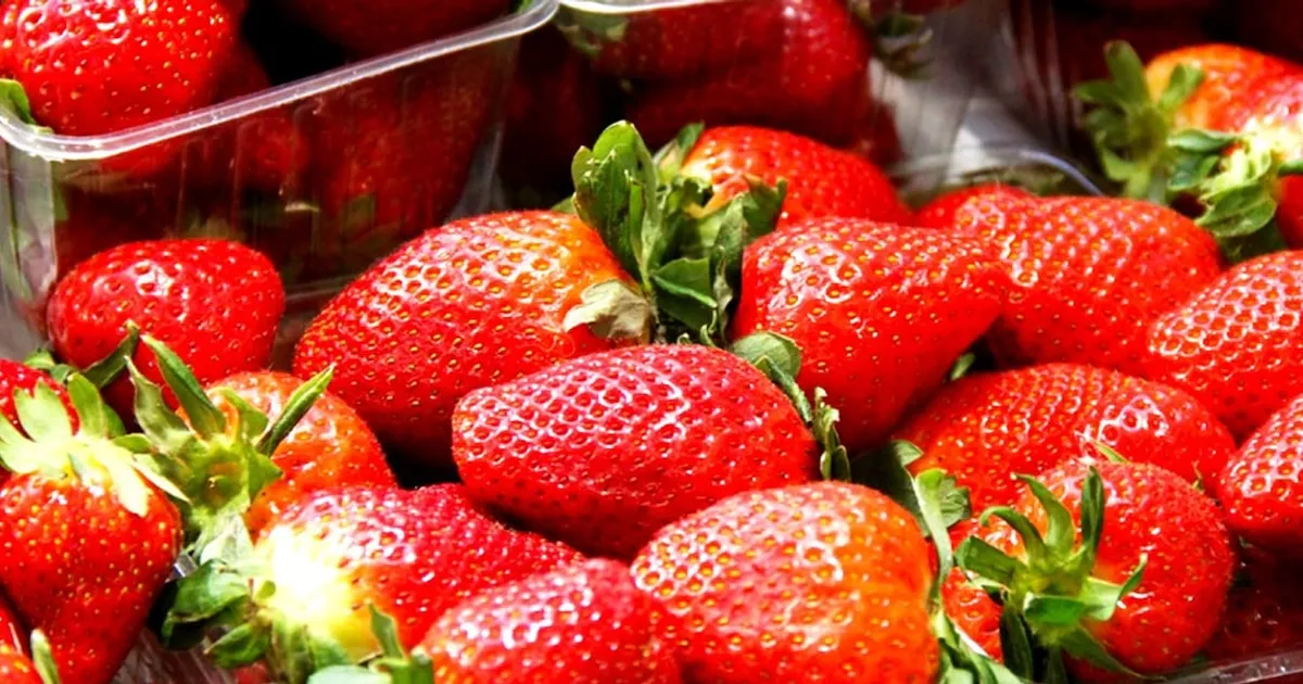 Ягодный фестиваль и цветочная выставка в Уайтвилле