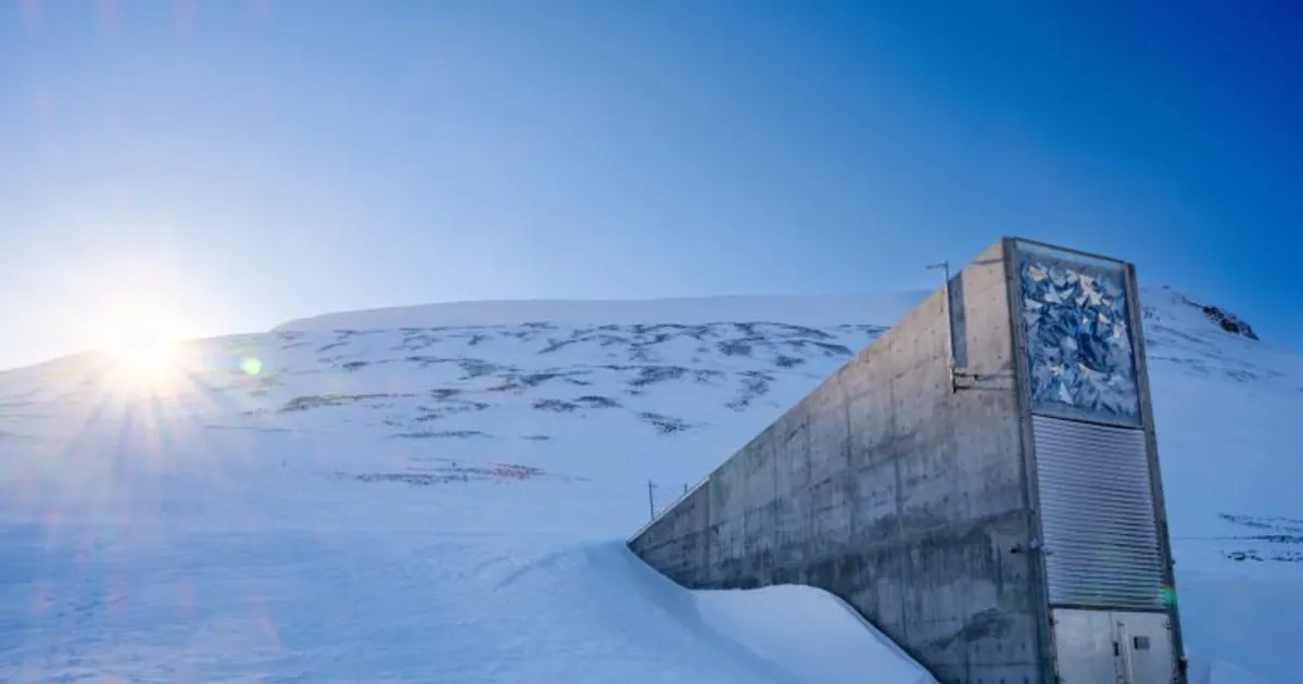 Свалбардский глобальный хранилище семян номинировано на Нобелевскую премию мира