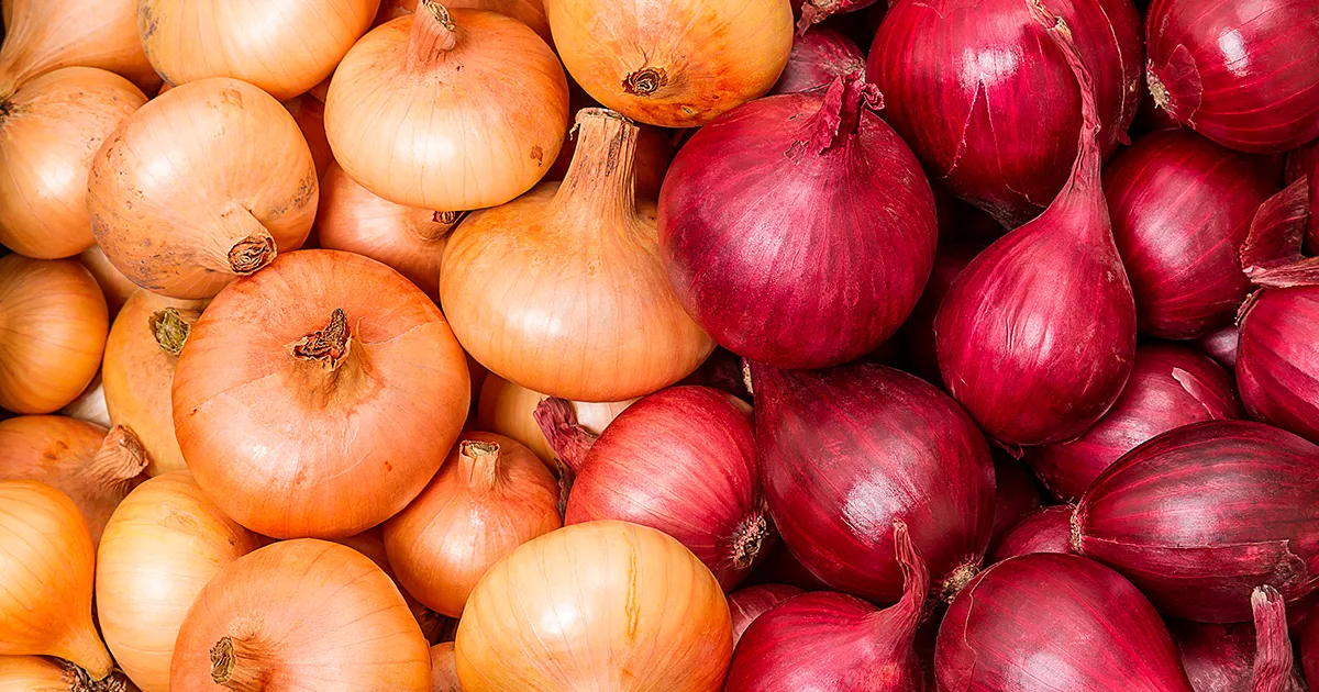 Тайвань отправил 19,2 тонны лука в Окинаву