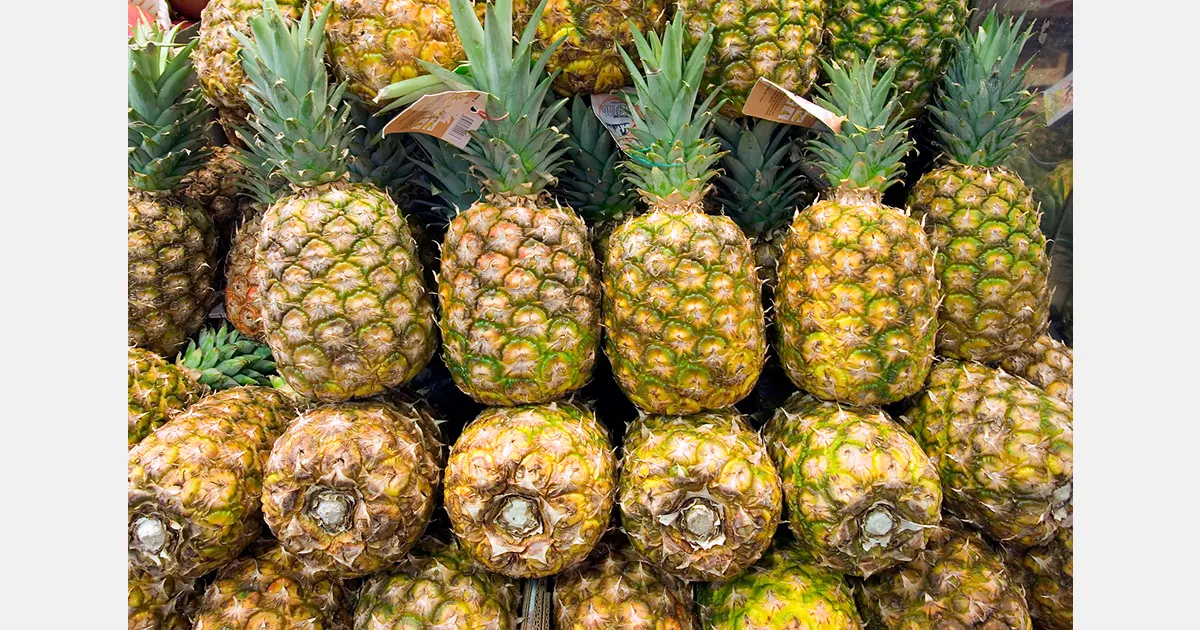 Тайваньские ананасы: США открыли проект правил для импорта