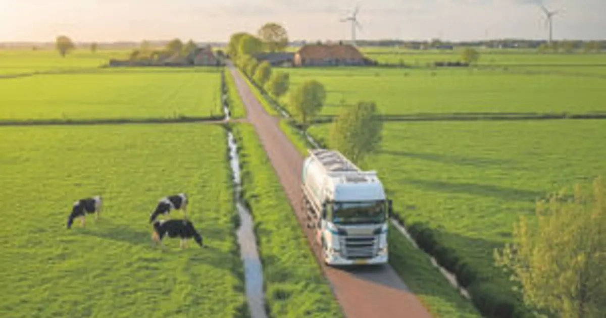 Почему важно очищать и дезинфицировать транспорт