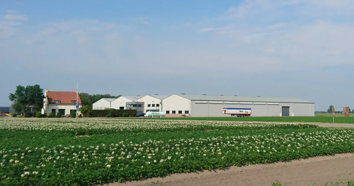 Рынок овощей иногда может удивить