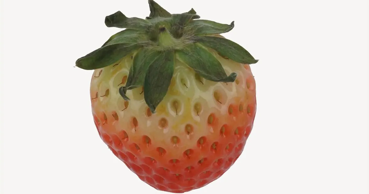 Созревание клубники: что происходит с ягодой