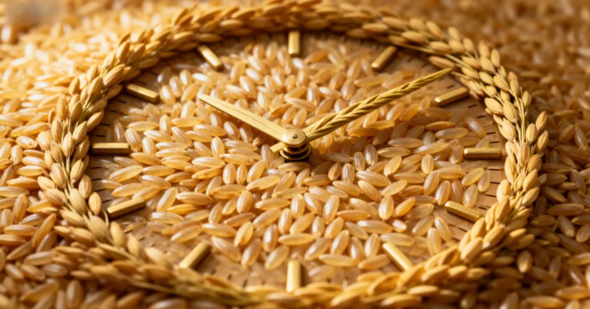 Новое регулирование семян в ЕС: вызовы и перспективы