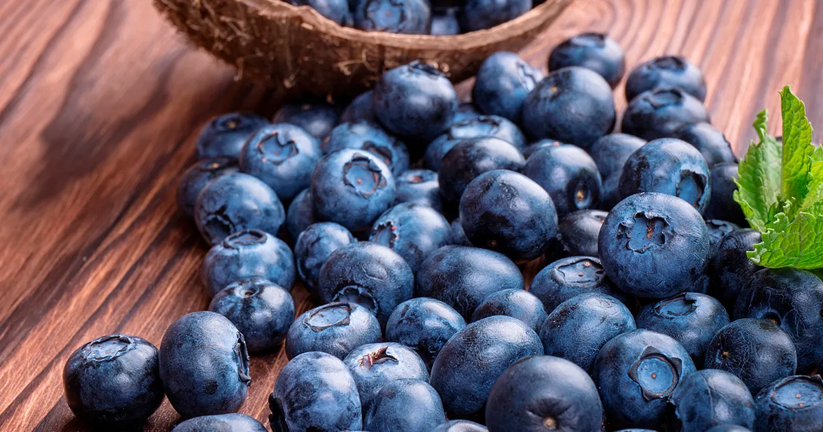 Дикая голубика для сосудов и обмена веществ: итоги исследования