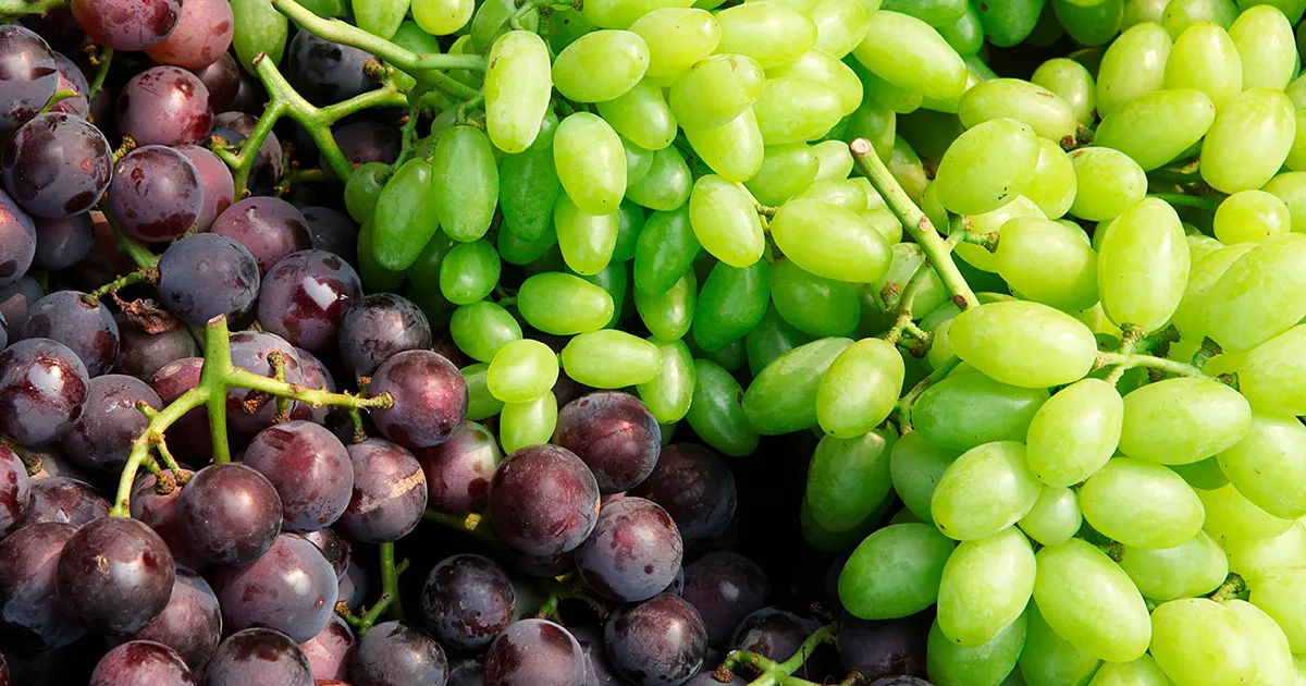 Неопределенность тарифов США влияет на экспорт фруктов из Бразилии