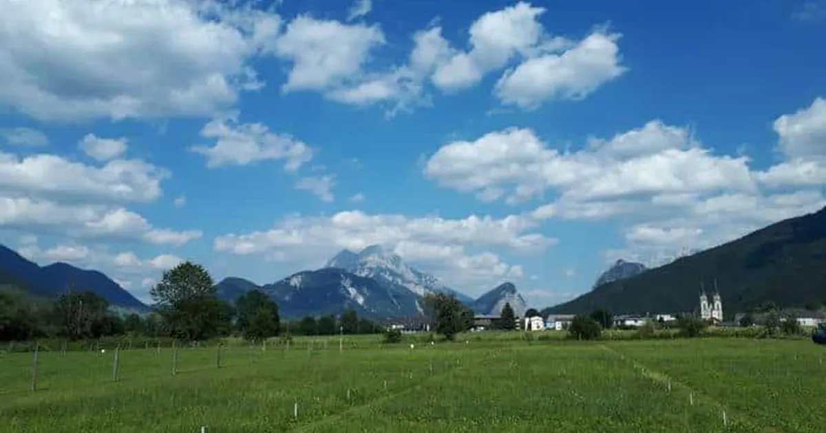 Удобрения: дисбаланс в почве ослабляет защиту растений