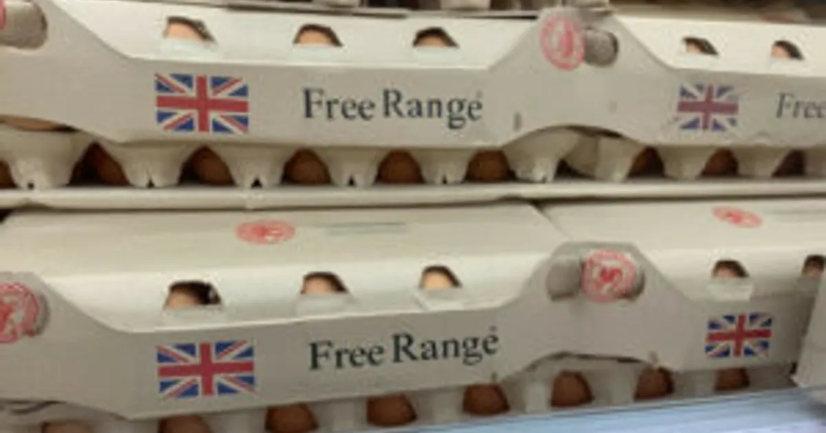 Птицеводство в Великобритании: укрепление устойчивости на конференции NFU