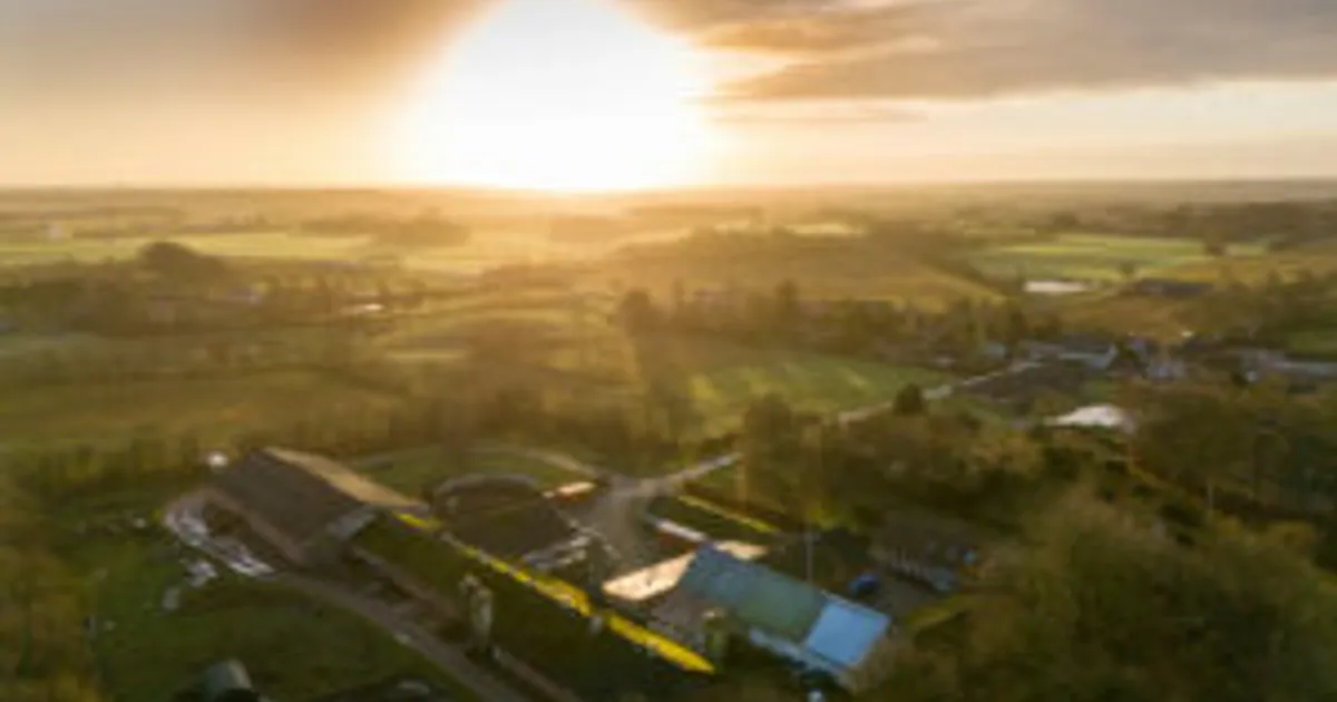 Борьба с вирусом РРСС: уроки датского опыта