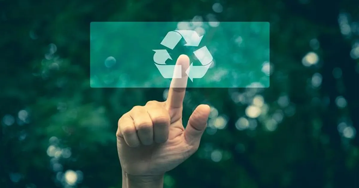 Упаковка для птицы и яиц: устойчивость и нормы меняют рынок