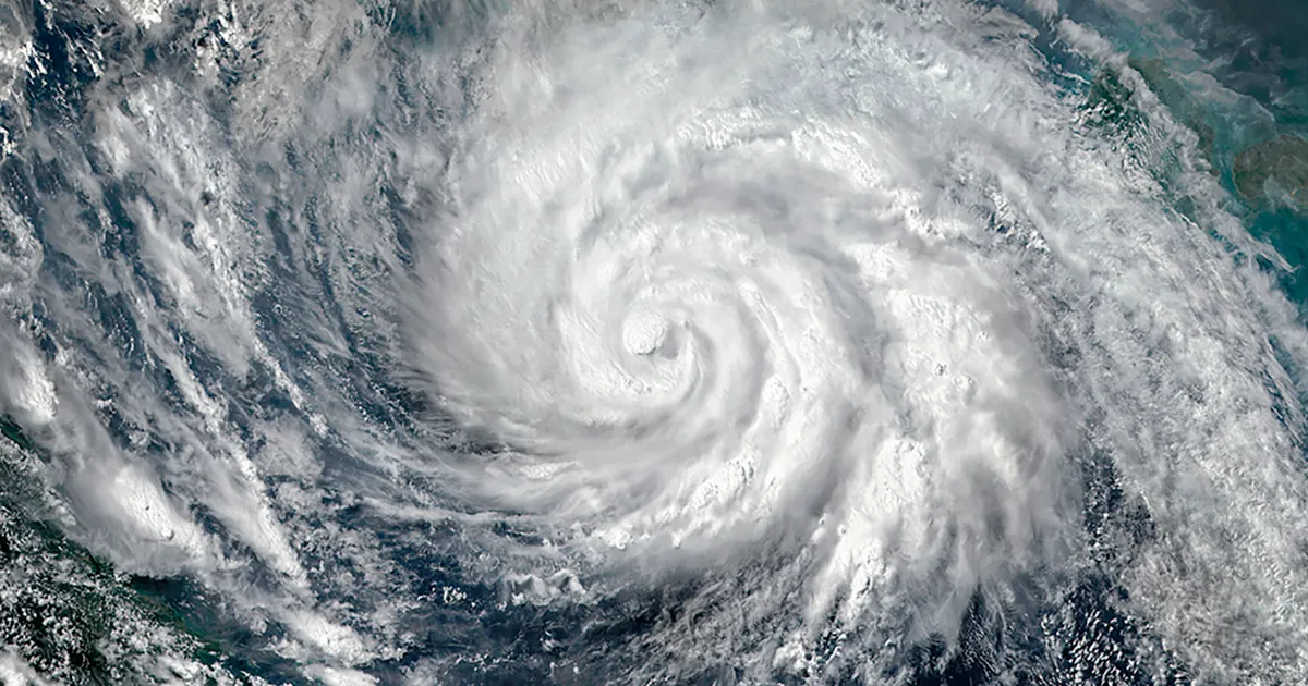 Фермерам Джорджии выделили $531 млн помощи после урагана