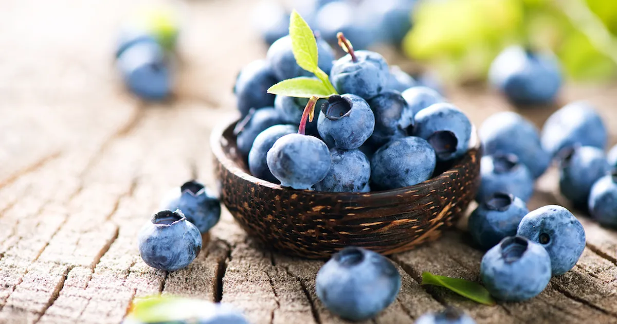 В 2025 году импорт голубики в США достиг рекордного объёма в 720 млн фунтов