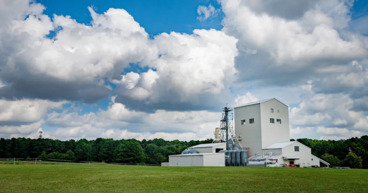 ИИ и датчики для оптимизации кормления животноводства