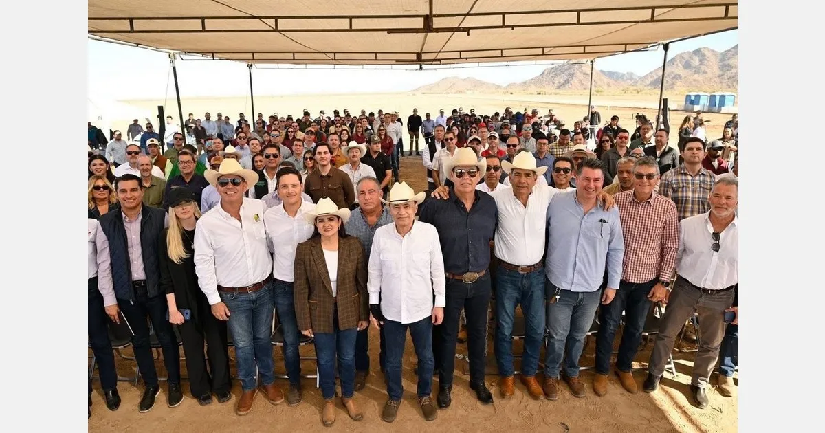 Старт сезона спаржи в Соноре: лидеры мнений и перспективы