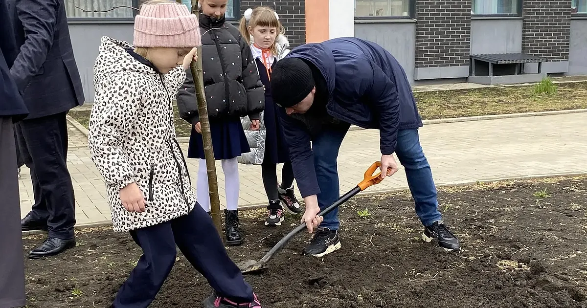 В школах и детсадах Краснодара высадили более 600 деревьев: как ученики участвуют в озеленении города