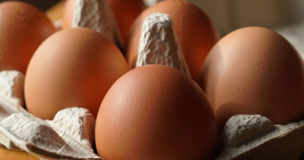 В Великобритании предупредили о загрязнении яиц рядом с химическим заводом