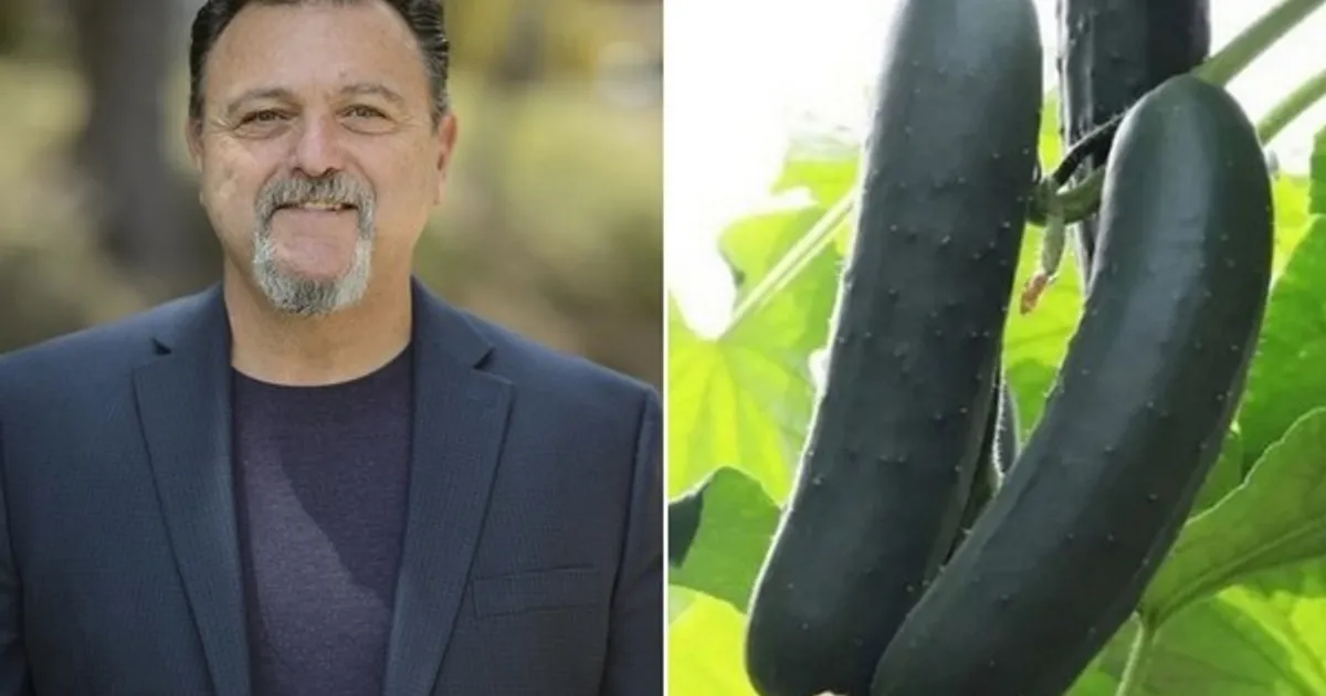 Цены на огурцы останутся нестабильными в ближайшее время