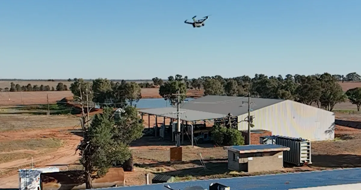 Точные рекомендации по уборке урожая шпината для максимальной прибыли