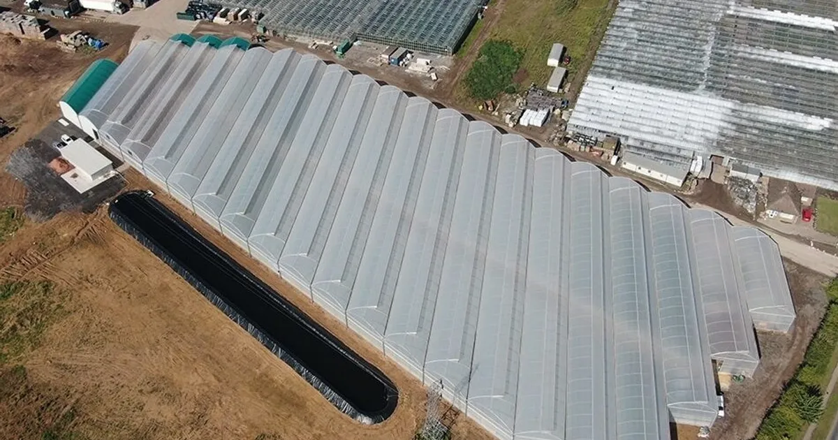 Как стимулировать инвестиции в производство свежих овощей