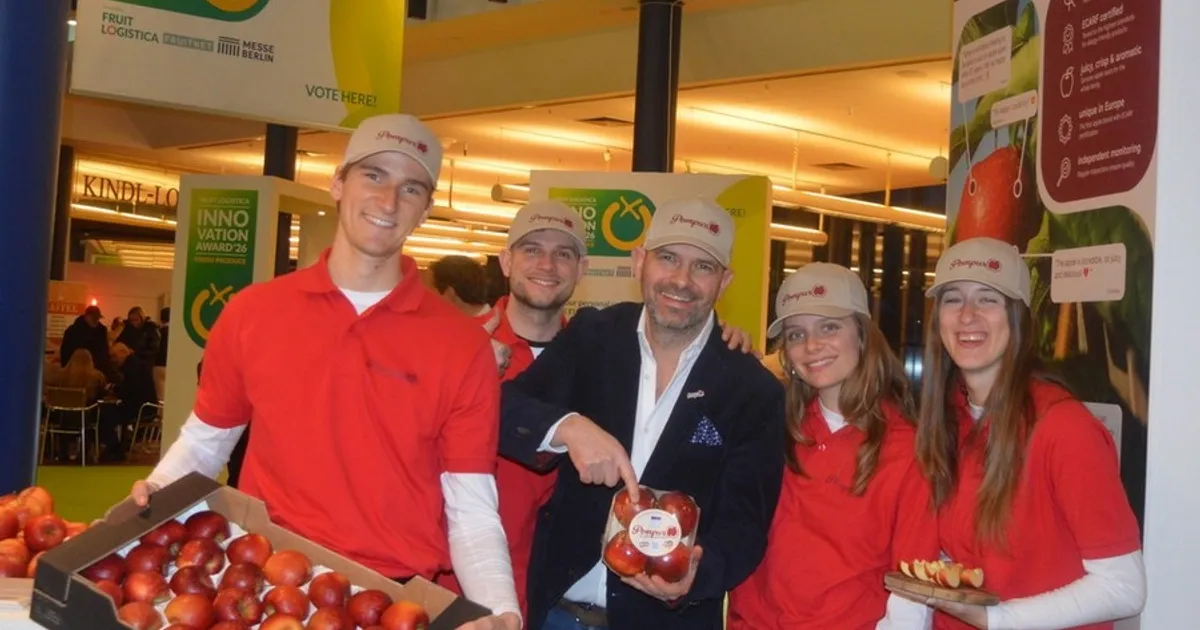 Новый сорт яблок Pompur: решение для аллергиков и фермеров