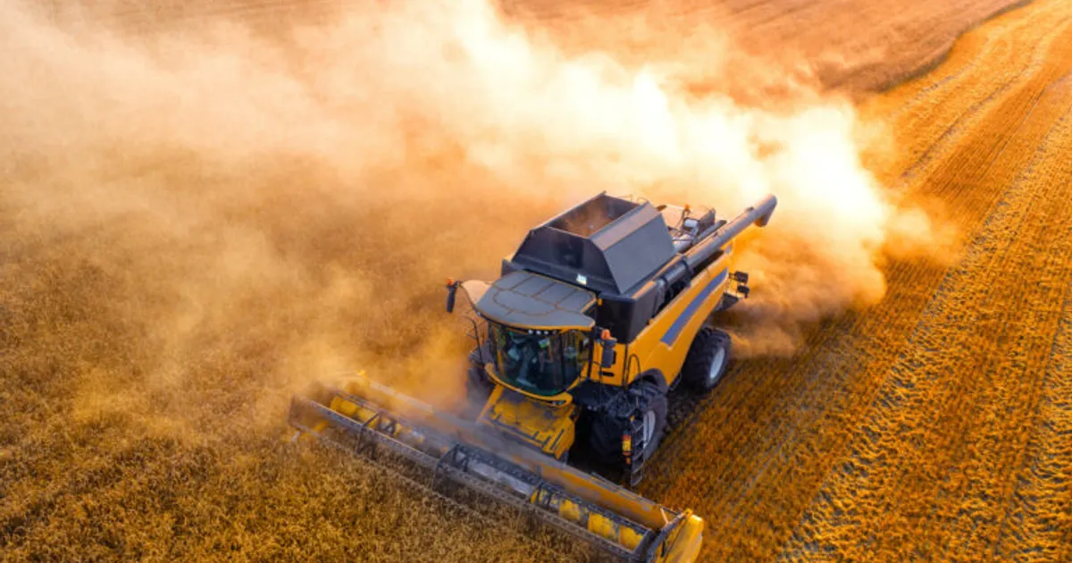 Как правильно спроектировать завод по семенам