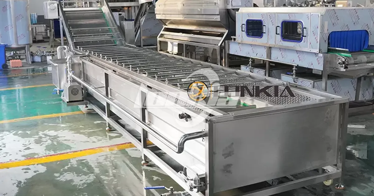 Технология пузырьковой мойки для обработки черники