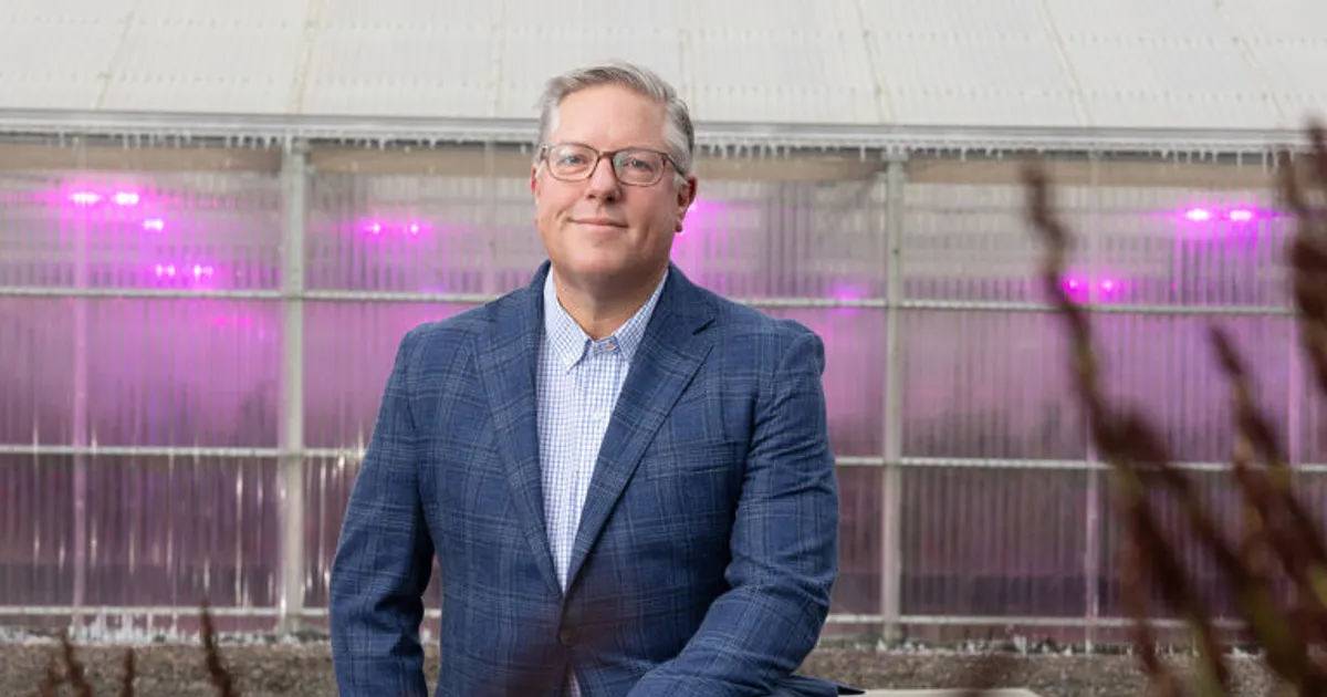 Почему семенным компаниям нужно ускоряться