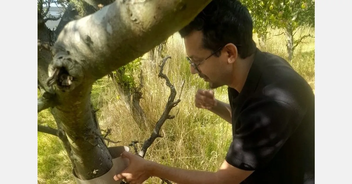 Яблоки и груши: программа PIPS 4 Profit в Австралии поддержала 6 PhD